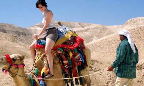 ЭКСКУРСИЯ ПУСТЫНЯ И БЕДУИНЫ